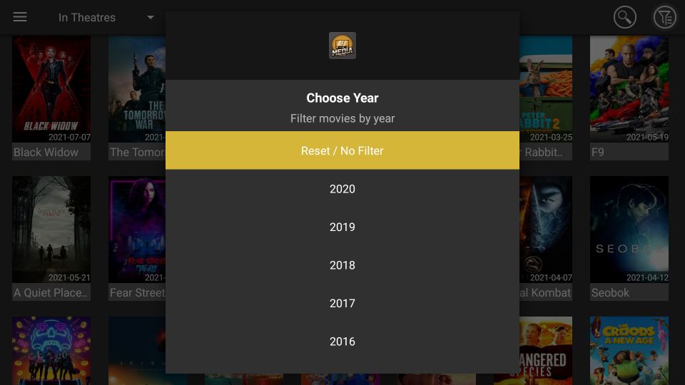Year Filter is to filter movies by year. The search icon is to search any movie.