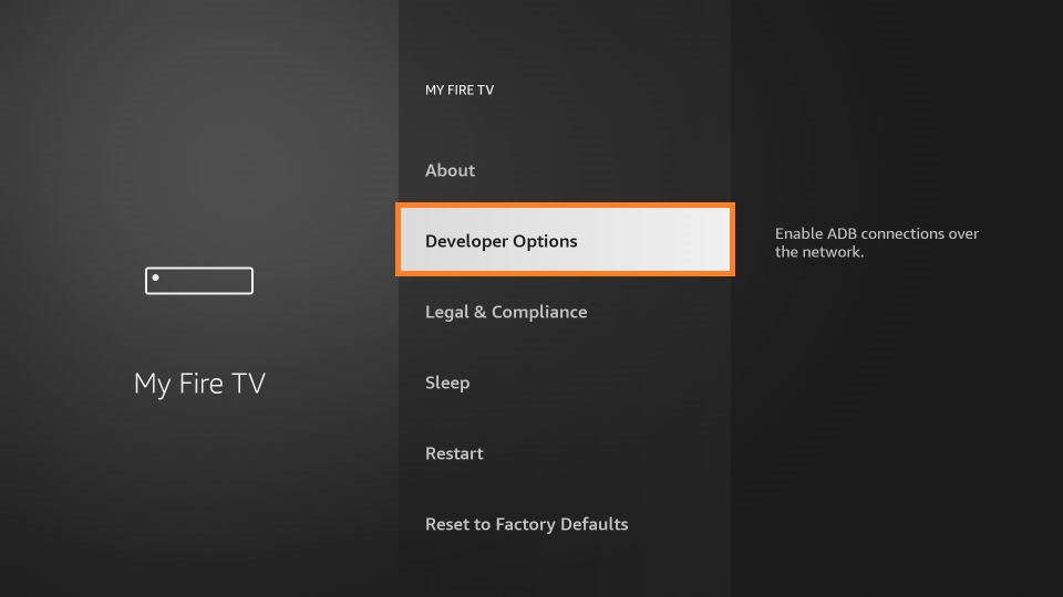 From the following options, click Developer Options