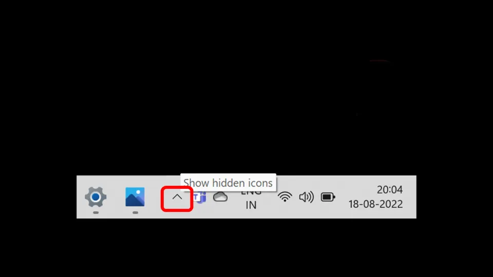 Click on the Show hidden icons option
